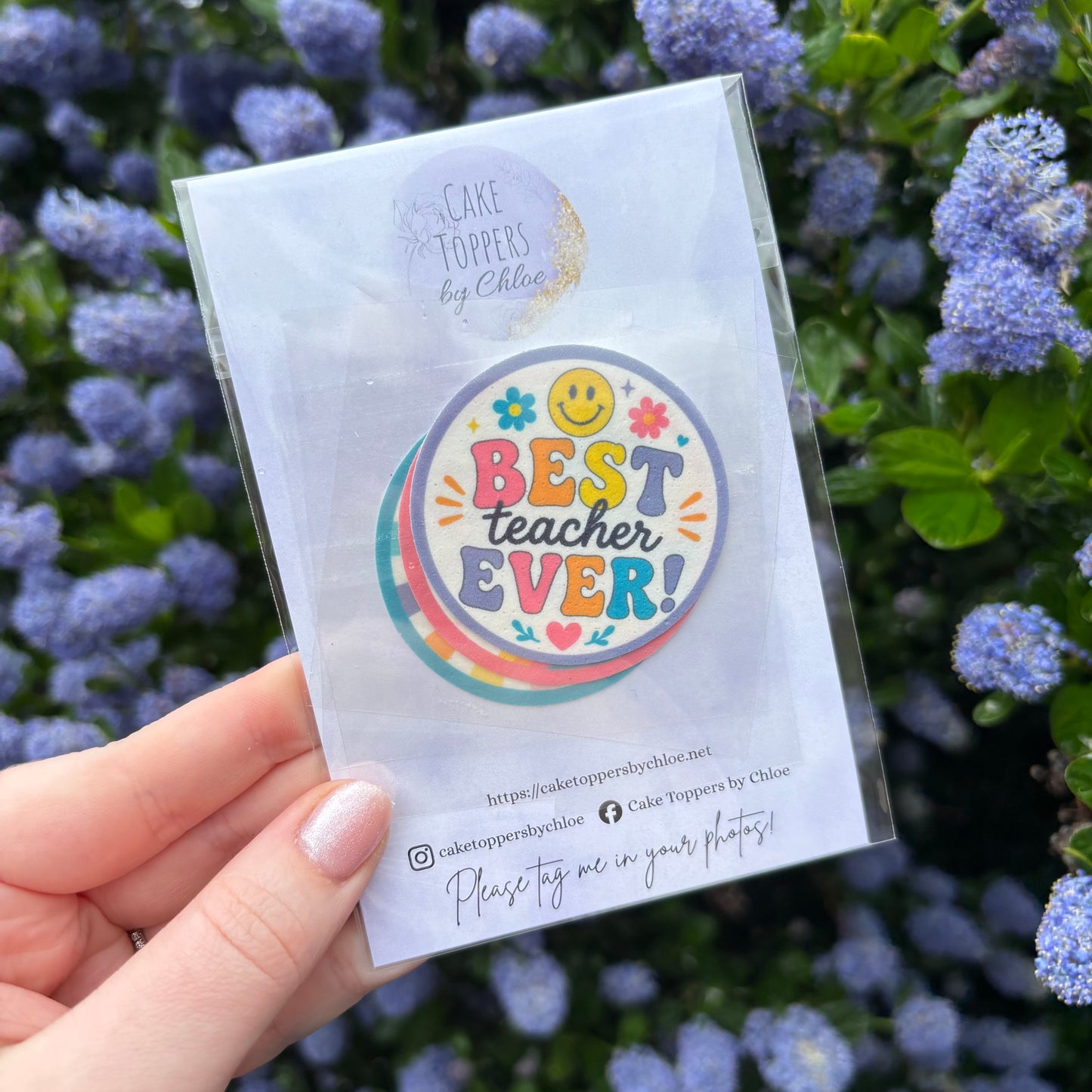 Teacher Sample Pack 2026