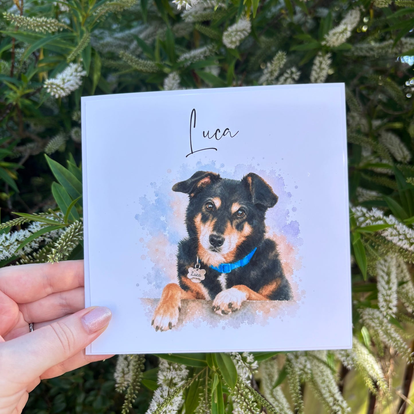 Watercolour Pet Card