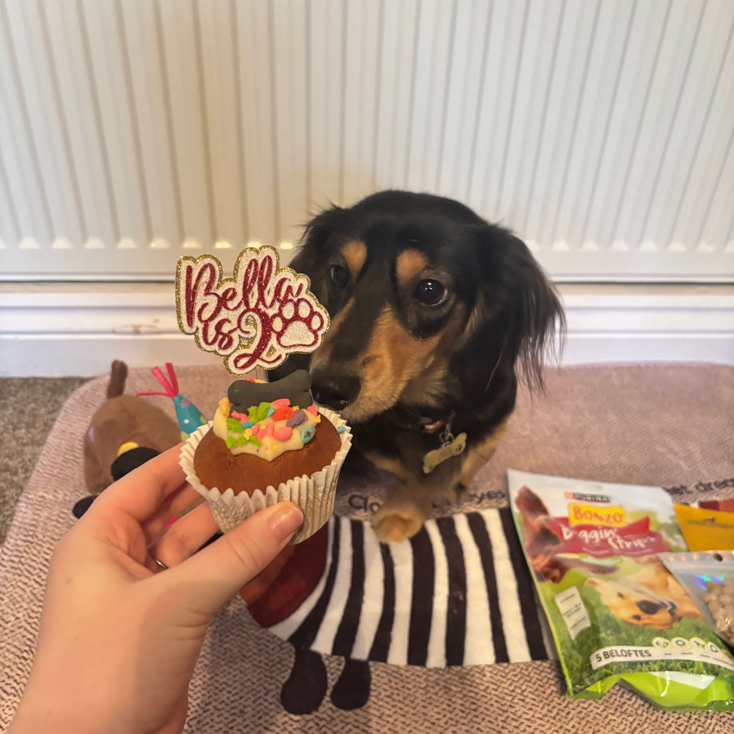 Pet Cupcake / Mini Cake Topper