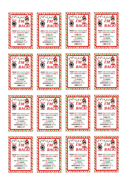 Elf Cam I'm Back Rectangle Cupcake Toppers Icing Sheet