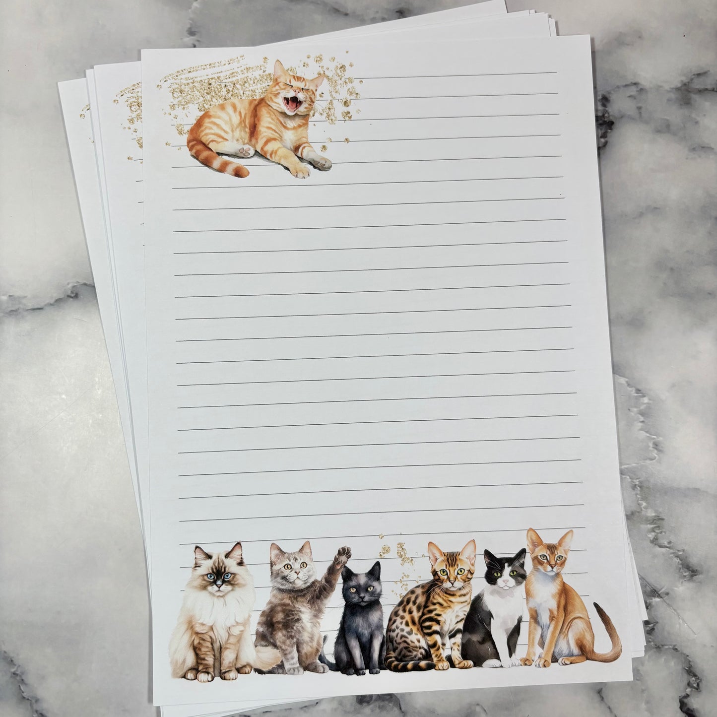 Cats & Coffee Writing Paper Sets