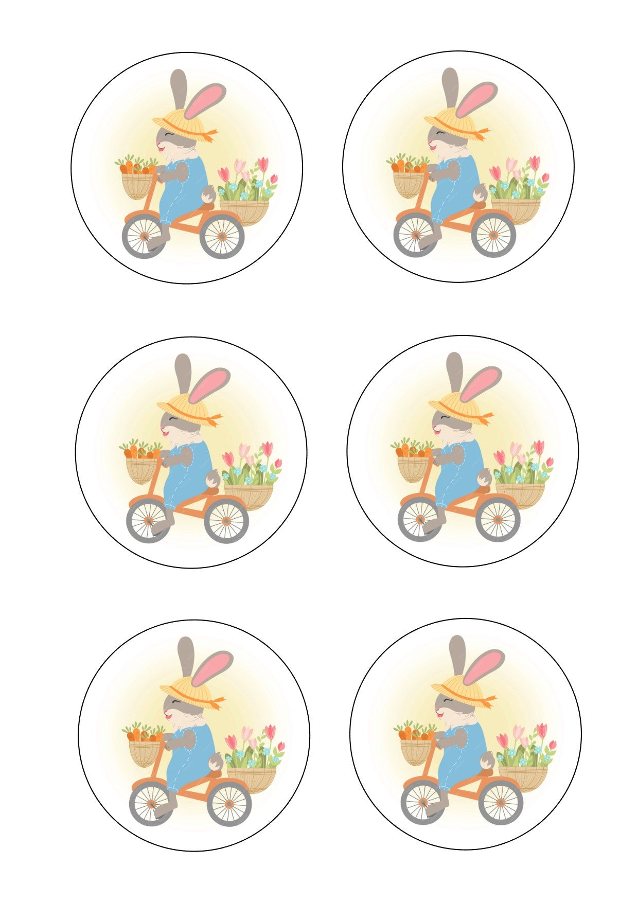 Bunny on a bike Icing Sheet Cookie Toppers