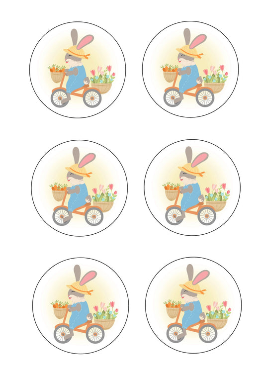 Bunny on a bike Icing Sheet Cookie Toppers