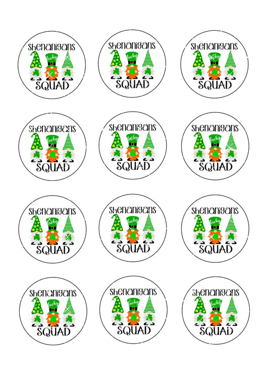 St Patrick's Day Icing Sheet Cupcake Toppers #4