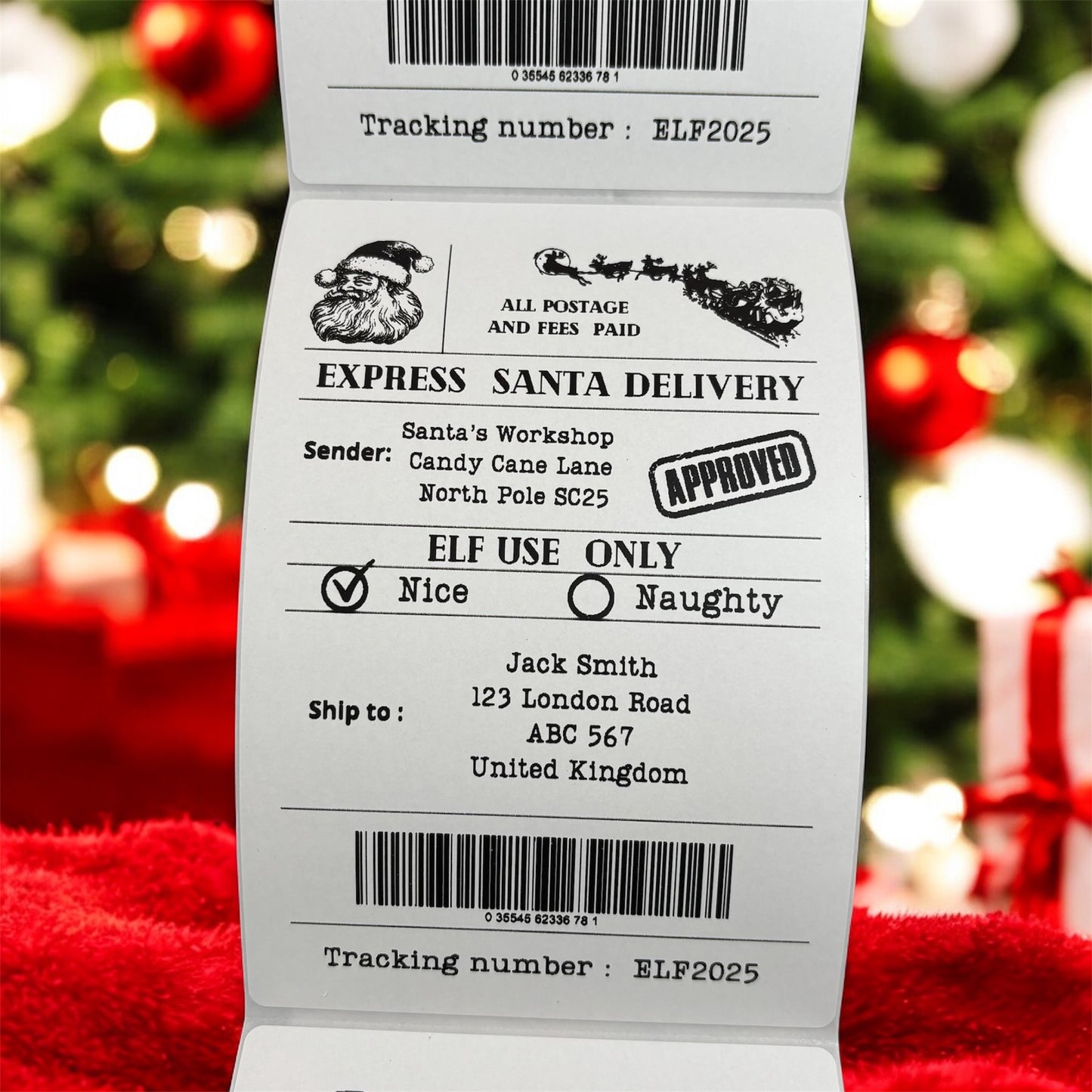 Express Santa Delivery Stickers