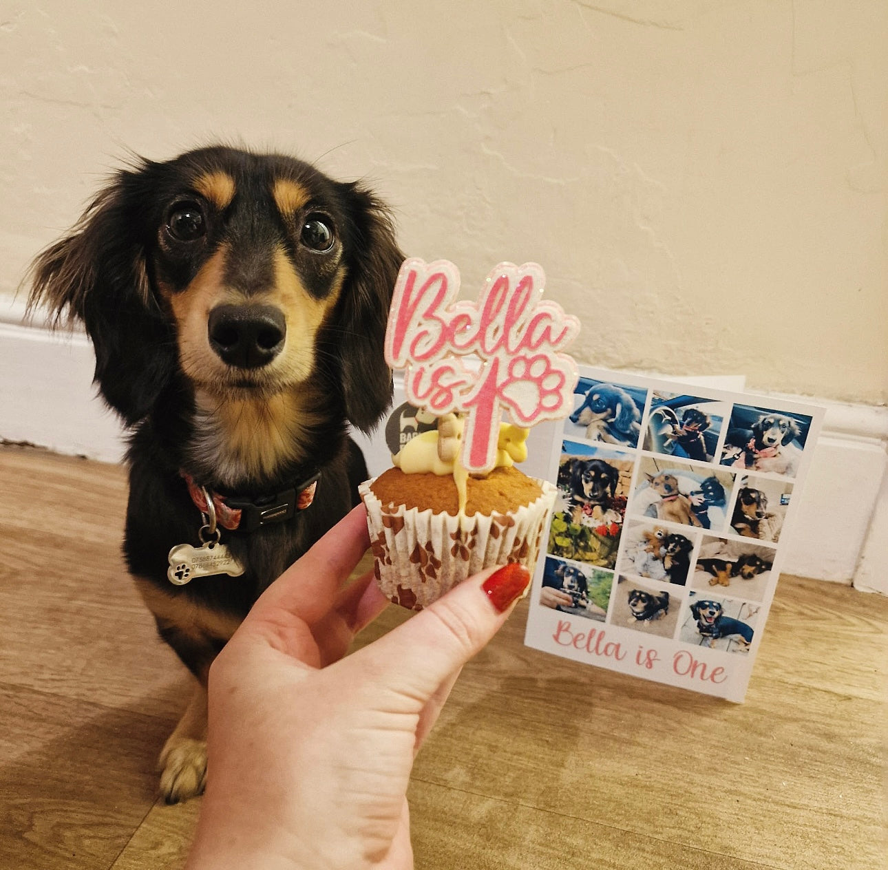 Pet Cupcake / Mini Cake Topper