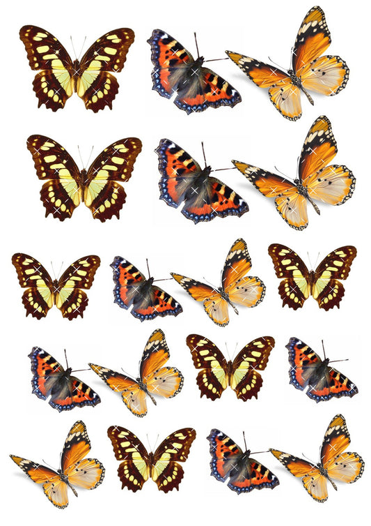 Realistic Wafer Paper Butterfly Toppers