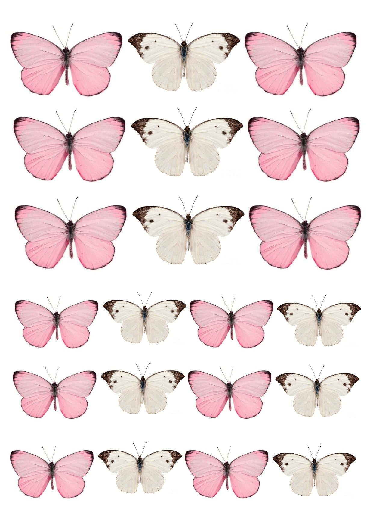 Pink and white Rice Paper Butterfly Toppers