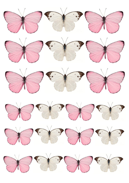 Pink and white Rice Paper Butterfly Toppers