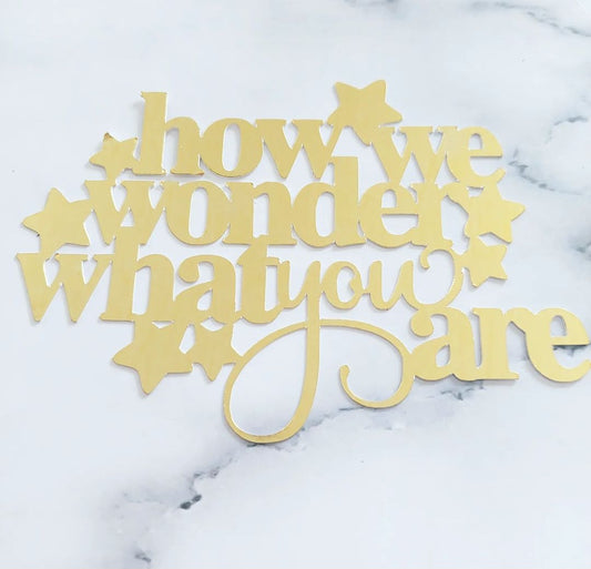 How we wonder what you are Cake Topper / Charm