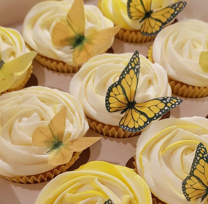 Bright Rainbow Rice Paper Butterfly Toppers